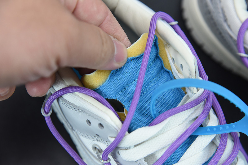 of x dunk low